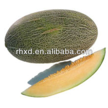 chinesische frische hami Melone